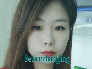Bericezhangjing