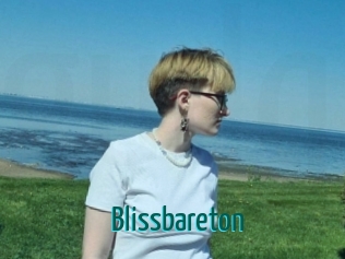 blissbareton Guide du Queutard