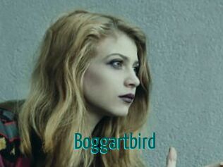 Boggartbird