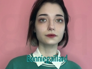 bonniegaillard Guide du Queutard
