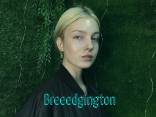 Breeedgington