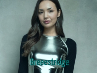 Breeestridge