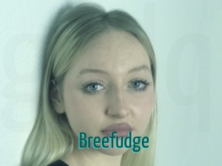 Breefudge
