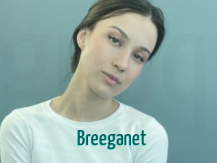 Breeganet