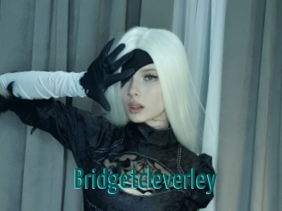 bridgetcleverley Guide du Queutard