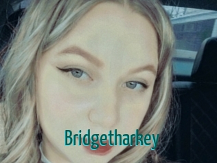 Bridgetharkey