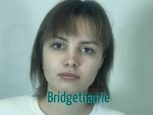 Bridgetharrie