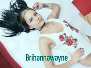 brihannawayne Guide du Queutard