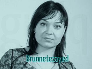 brunnetezayed Guide du Queutard