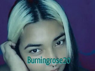 Burningrose20