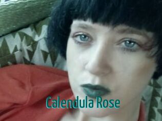 Calendula_Rose