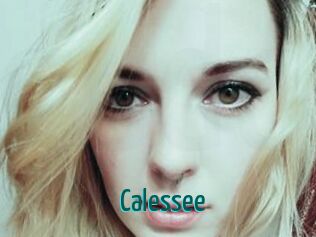 Calessee Guide du Queutard