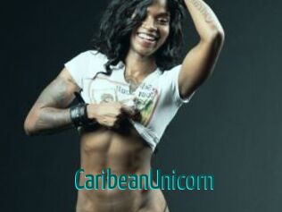 CaribeanUnicorn Guide du Queutard