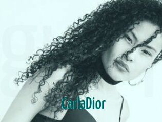 CarlaDior Guide du Queutard