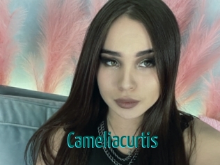 Cameliacurtis