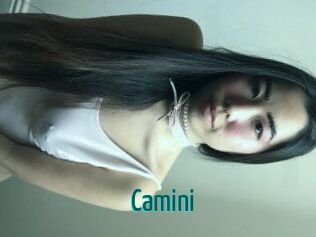 Camini