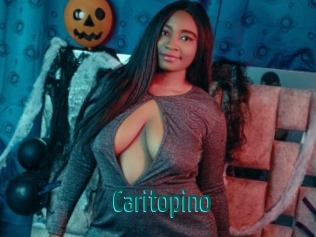 caritopino Guide du Queutard