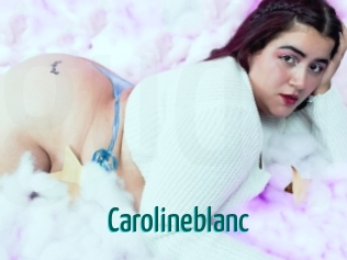 carolineblanc Guide du Queutard