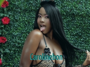 carolinebon Guide du Queutard
