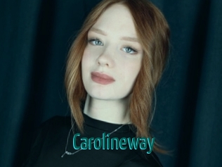 carolineway Guide du Queutard