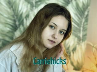 carriehicks Guide du Queutard