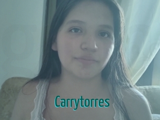 carrytorres Guide du Queutard