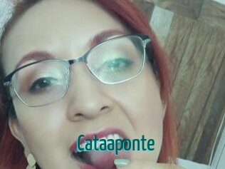 Cataaponte
