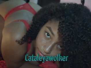 cataleyawolker Guide du Queutard