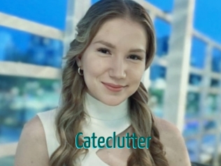 Cateclutter