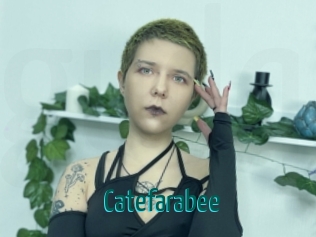 catefarabee Guide du Queutard