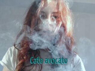 Cato_avocato