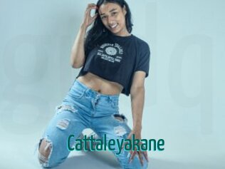 Cattaleyakane