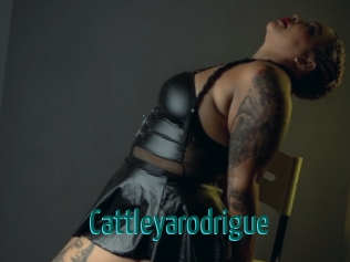 Cattleyarodrigue