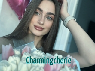 charmingcherie Guide du Queutard
