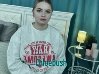 Chloebush