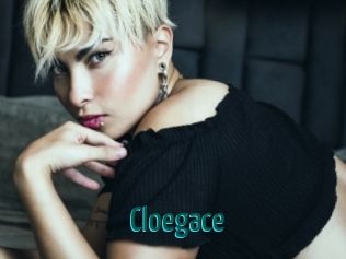 cloegace Guide du Queutard
