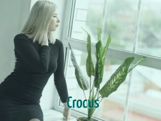 Crocus