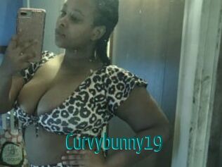 Curvybunny19