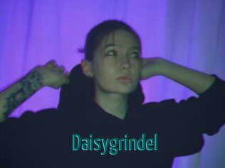 Daisygrindel