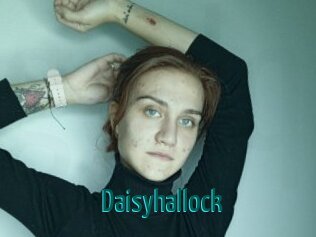Daisyhallock