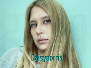 Daisynorris