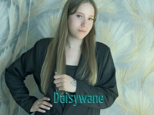 Daisywane