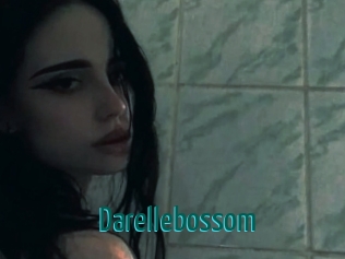 Darellebossom