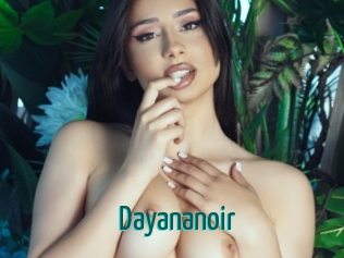 Dayananoir