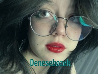 denesebozek Guide du Queutard