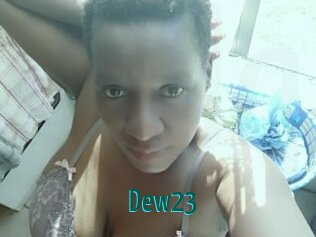 Dew23