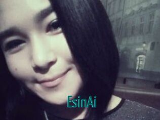 EsinAi