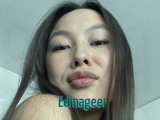 Edinageer