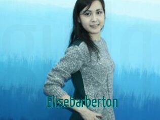 Elisebarberton