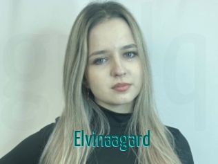 Elvinaagard